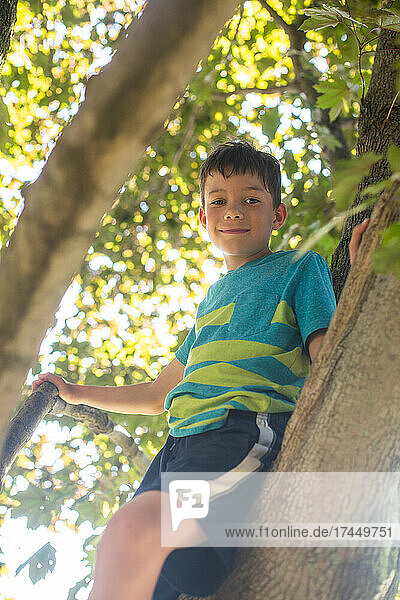 Boy standing in tree he climbed