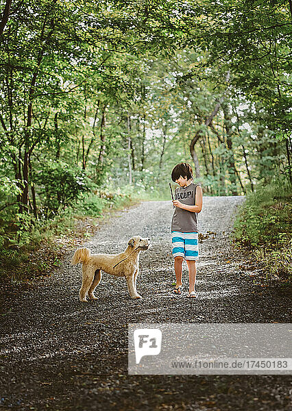 Boy and pet dog playing with sticks on a road through the woods.