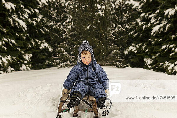 Toddler boy sitting on a sledge sliding from a snow field in for