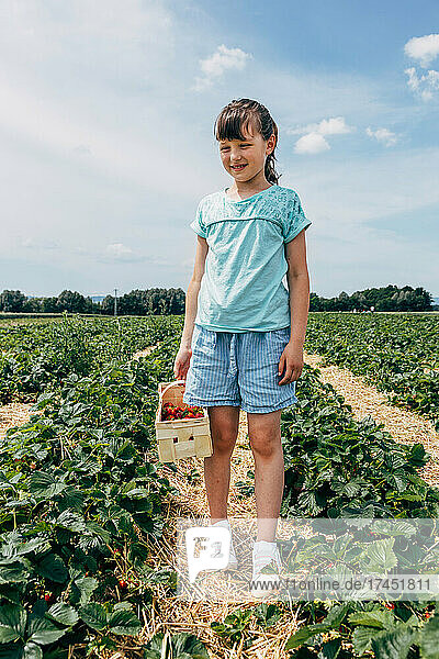 Happy girl stands on a farm with a basket of fresh strawberries