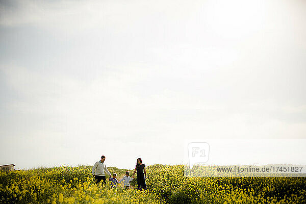 Wide View of Family in Wildflower Field in San Diego