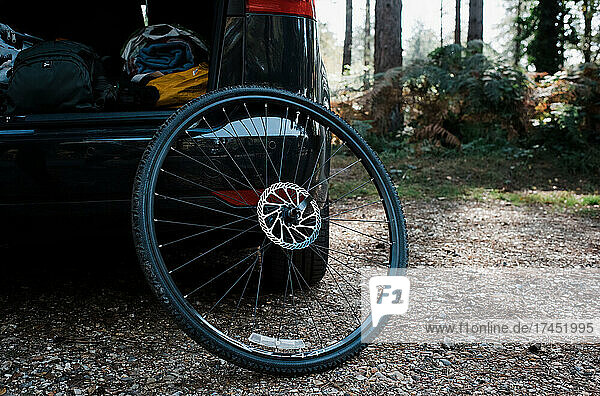 bike wheel against a car in the forest