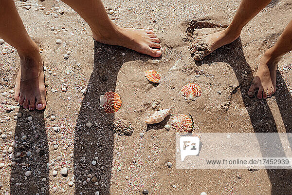 Mom and baby feet on the sea sand with seashells