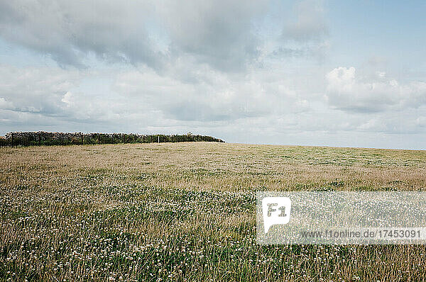 large open field and cloudy sky in the English countryside