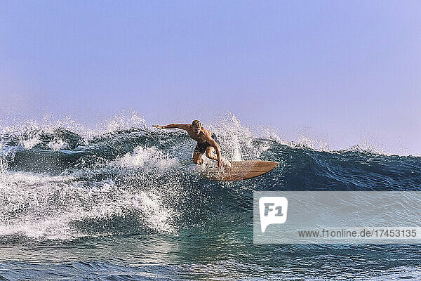 Surfer on a wave  Maldives  Indian ocean