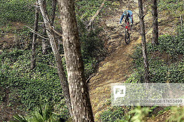 Young cyclist downhill in dangerous trail in the forest