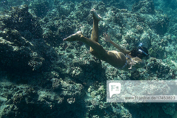 Female swims underwater in blue Hawaiian waters