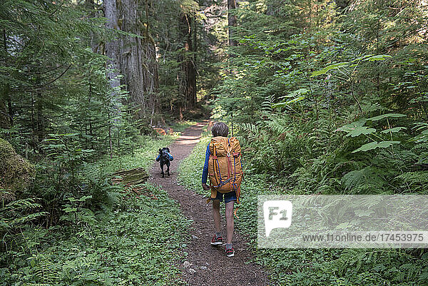 A boy hiking through the forest in Glacier Peak Wilderness