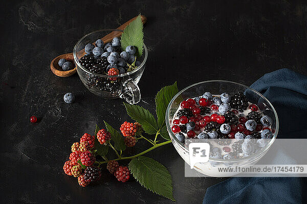 Healthy snack with various berries  from organic culture