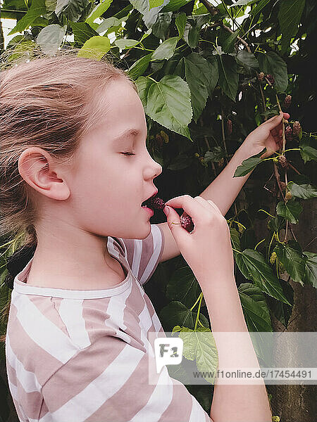 Girl tasting fresh ripe mulberry from a tree in the garden
