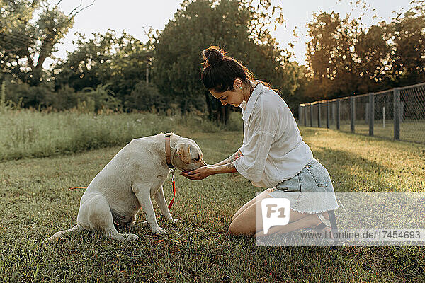 Happy woman hand feeds her Labrador puppy outdoors.