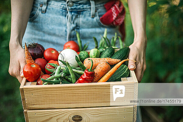 Woman holding freshly harvested vegetables in crate at organic