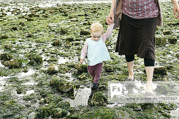 Cropped view of a mom holding her daughter's hand on a rocky beach