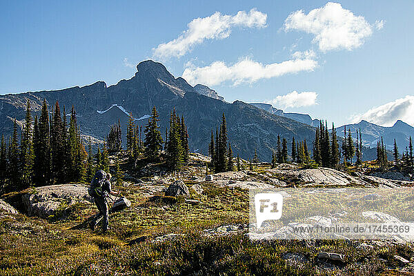 Mature hiker in alpine meadow with mountain in morning light