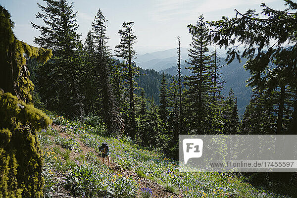 Woman hikes along single track trail surrounded by wild flowers