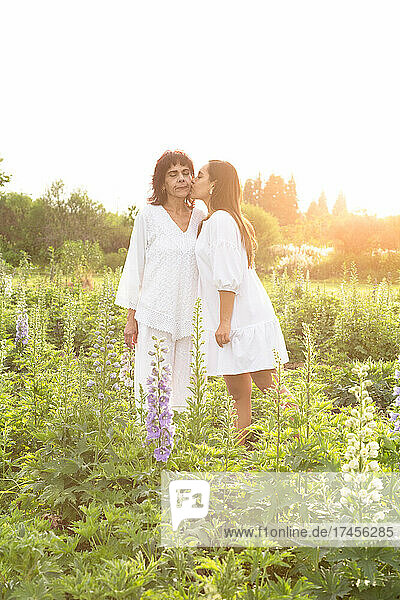 Mexican daughter kissing her mother at flower field during sunset