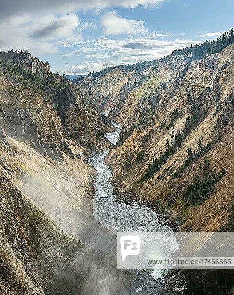 Yellowstone River fließt durch Schlucht  Grand Canyon of the Yellowstone  Blick vom North Rim  Brink of the Lower Falls  Yellowstone National Park  Wyoming  USA  Nordamerika