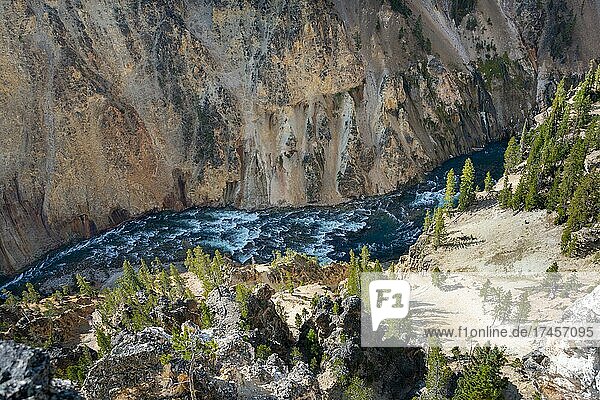 Blick auf Fluss in einer Schlucht  Grand Canyon of the Yellowstone River  Ausblick vom North Rim  Red Rock Viewpoint  Yellowstone Nationalpark  Wyoming  USA  Nordamerika