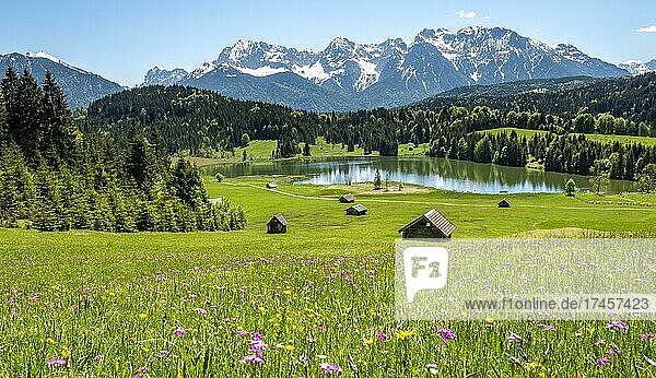 Blumenwiese mit Heustadl am Geroldsee  Blick auf Karwendelgebirge im Frühling  Gerold  Bayern  Deutschland  Europa