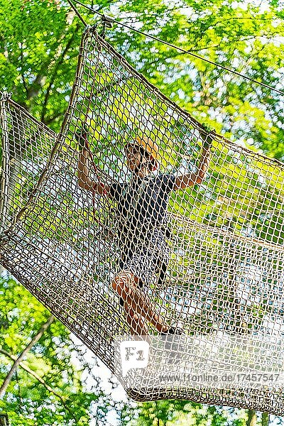 Junge klettert in einem Netz im Kletterwald und Hochseilgarten  Abenteuerpark Potsdam  Potsdam  Brandenburg  Deutschland  Europa