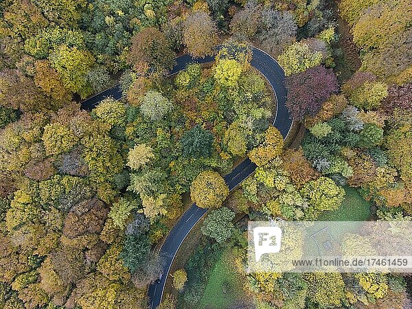 Luftaufnahme einer Serpentine im Teutoburger Wald im Herbst  Lienen  Nordrhein-Westfalen  Deutschland  Europa