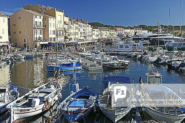Port of Saint Tropez  Var  French Riviera  Provence-Alpes-Cote d'Azur  France  Europe