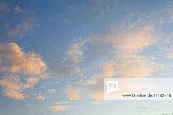 Orange gefärbte Cirrus Wolken zieren bei Sonnenaufgang den blauen Himmel