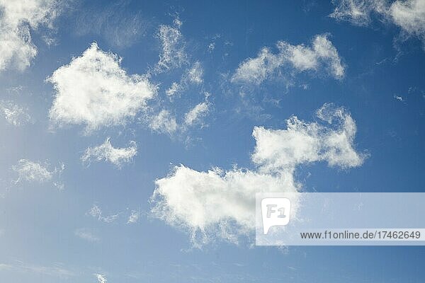 Feder- und Schäfchenwolken zieren bei starkem Wind den blauen Himmel