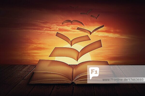 Surreale Szene mit Buchseiten verwandelt sich in magische fliegende Vögel  gegen Sonnenuntergang Himmel Hintergrund. Ungeschrieben  leere Lehrbuch Blätter entweicht wie Poesie Gedanken. Wissen Konzept  Weisheit Symbol