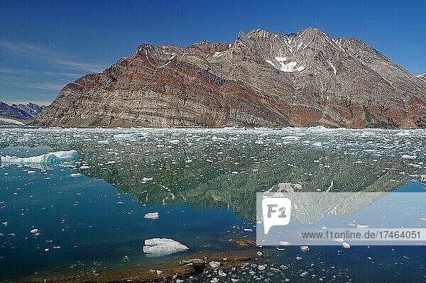 Eisberge  und Eisstücke spiegeln sich im ruhigen Wasser eines Fjordes  Sommer  Knud Rasmussen Glacier  Nordamerika  Grönland  Dänemark  Nordamerika