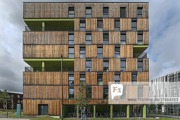 Modernes Studentenwohnheim in der Universitätsstadt Erlangen  Mittelfranken  Bayern  Deutschland  Europa