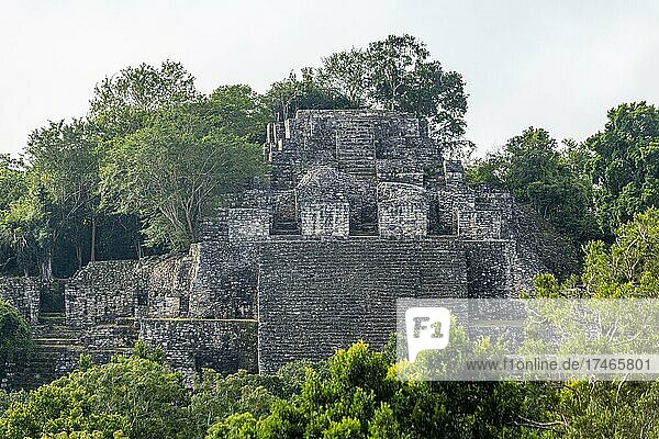 Unesco-Welterbestätte Calakmul  Campeche  Mexiko  Mittelamerika