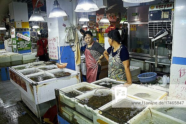 Seafood market stall  Shanghai  China  Asia
