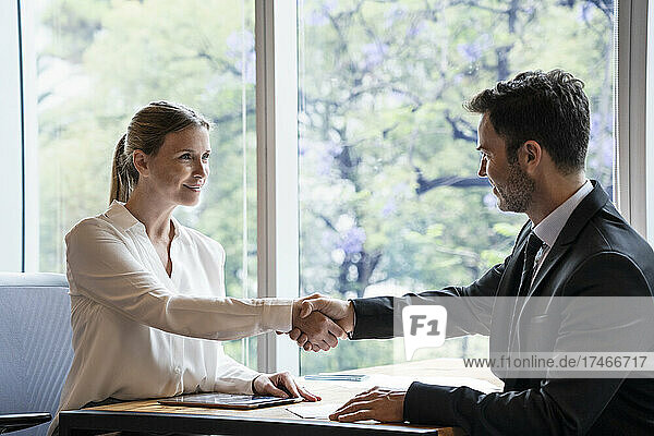 Businesswoman shaking hands with businessman during meeting