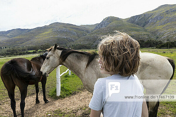 Eight year old boy leaning on a fence  looking at two horses in a field