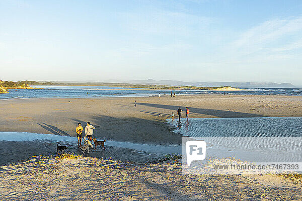 Breiter Sandstrand  Wasserkanäle und Dünen  Menschen und Hunde am Strand bei Sonnenuntergang