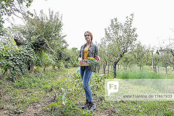 Young female farmer with vegetables amidst plants in garden