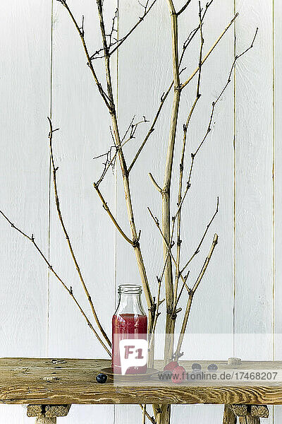 Bottle of fresh strawberry and blueberry smoothie standing nest to bare twigs