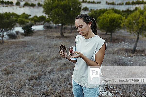 Female scientist with book doing research on pine cones in field