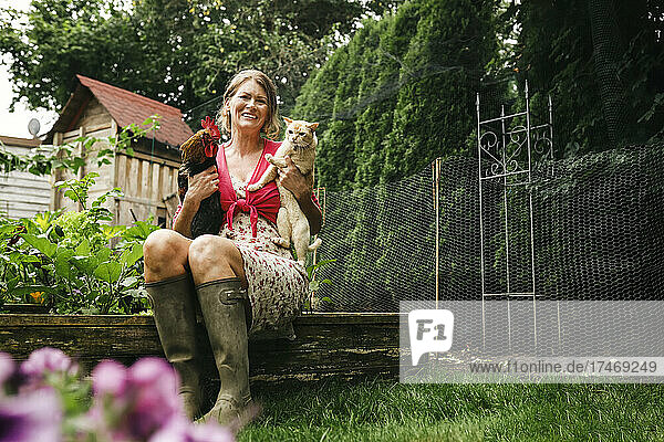 Happy woman carrying cat and rooster while sitting at backyard