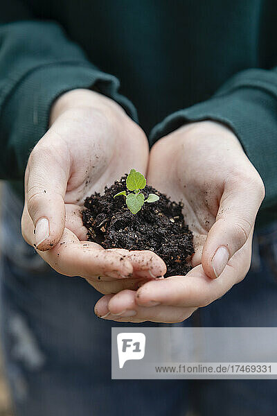 Female farmer with hands cupped holding plant with soil
