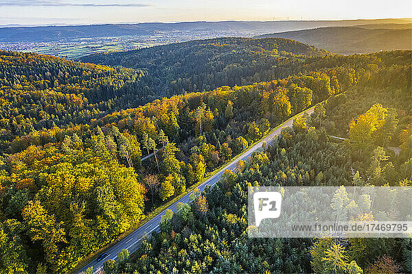 Road amidst autumn trees in Swabian-Franconian Forest  Germany
