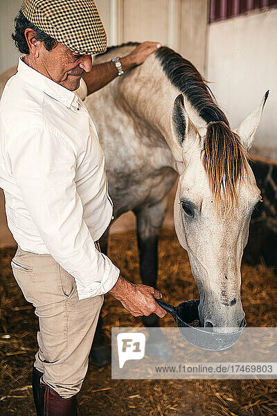 Senior trainer feeding horse in stable