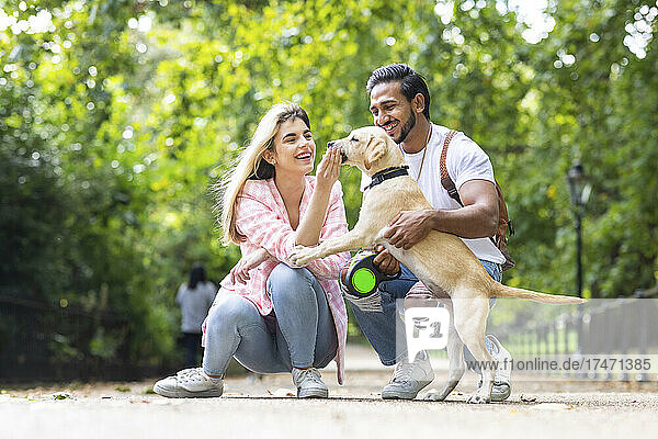 Glückliches junges Paar spielt mit Hund im öffentlichen Park