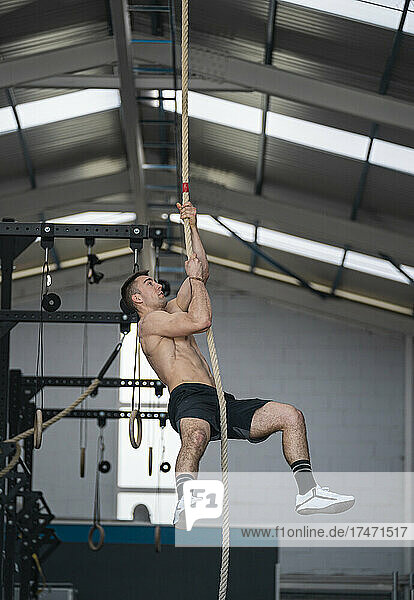 Concentrated male athlete climbing rope in gym