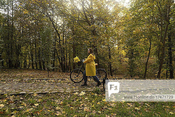 Woman wheeling bicycle by dog in autumn park