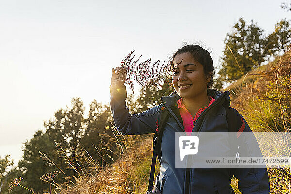 Smiling woman looking through fern on mountain