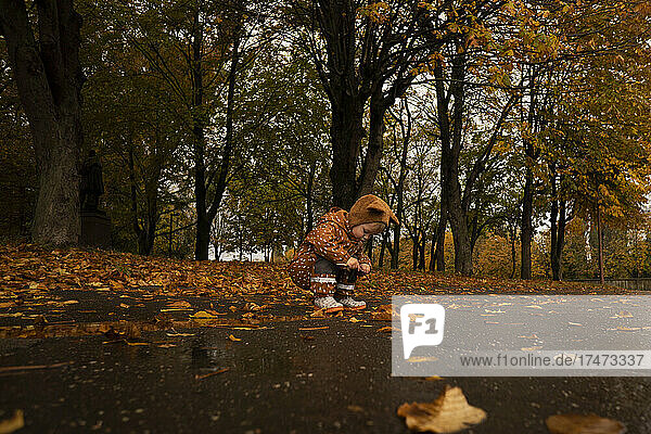 Boy crouching on road in autumn park
