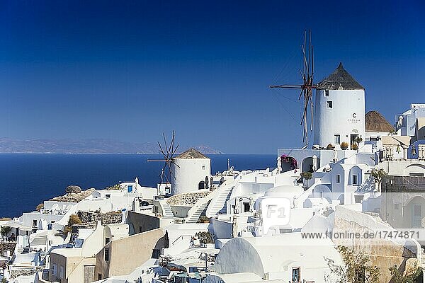 Blick auf die Windmühlen  Oia  Santorin  Kykladen  Ägäisches Meer  Griechenland  Europa