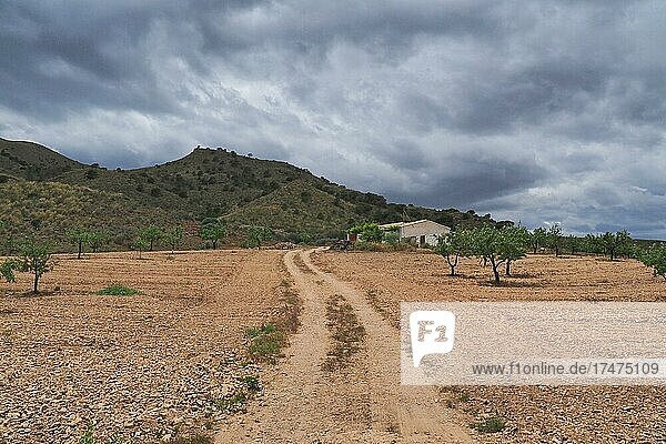 Finca in Andalusien  Grundstück mit Haus und Regenwolken  Almeria  Andalusien. Spanien